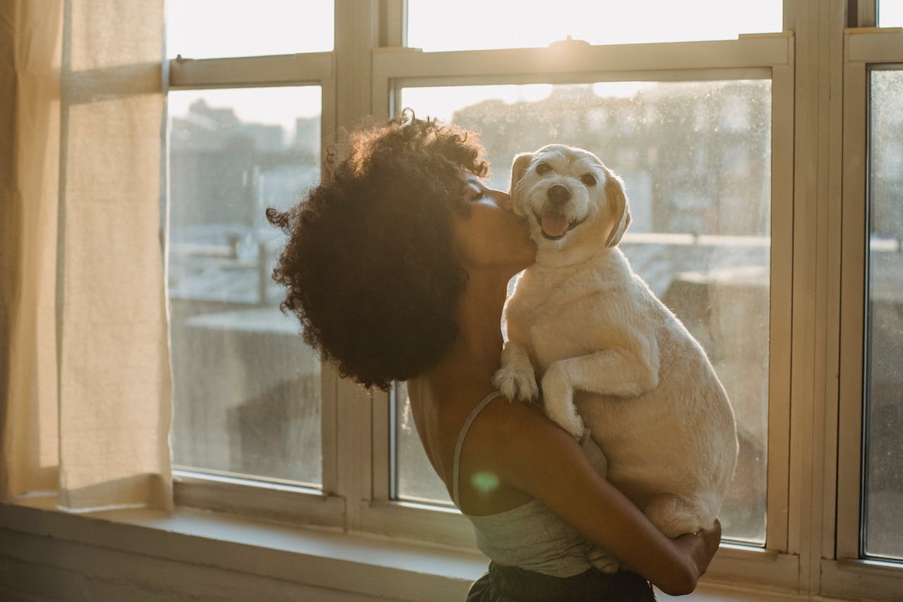 Why Its Important to Own a Pet Friendly Condo