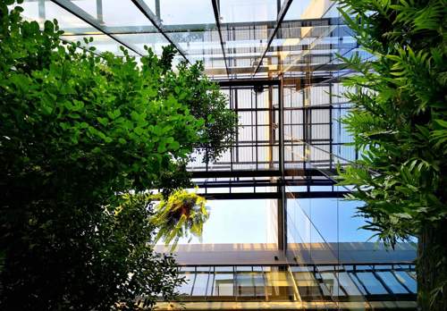 Biophilia in Indoor Spaces